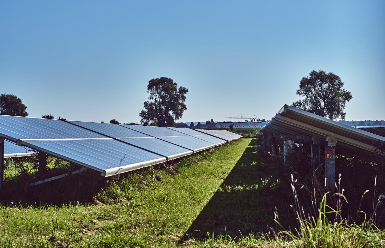 what-is-it-like-living-next-to-a-solar-farm-climate-cafes