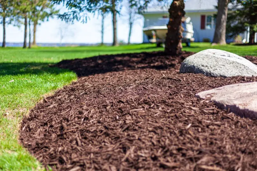 Is Mulch Glue A Game-Changer Or A Waste Of Money? Find Out Now! 
