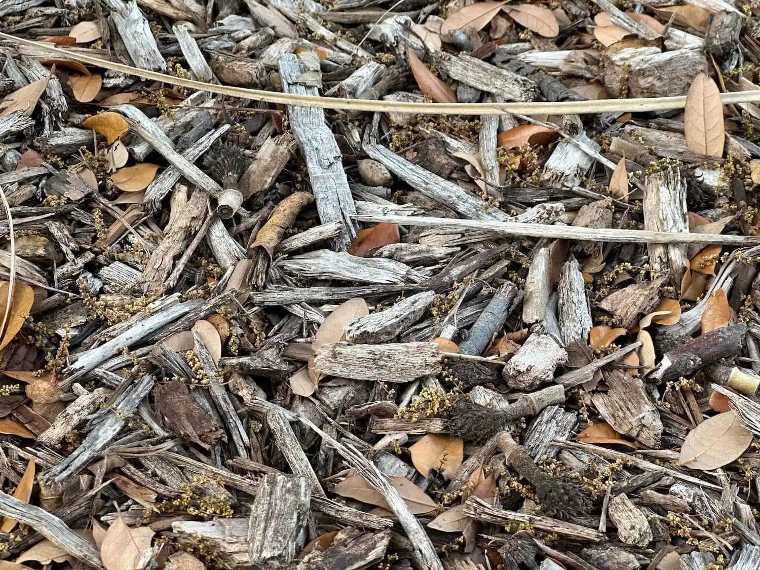 Mulch Glue Review: Does it really work?